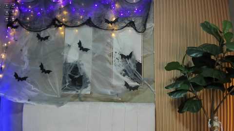 Media: Video of a Halloween-themed window with black bats, spider webs, and purple fairy lights on a white paneled wall. A green potted plant with broad leaves is beside it.