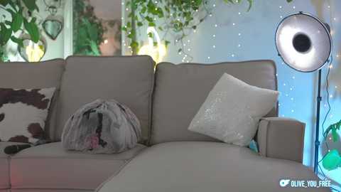 Media: A video of a cozy living room with a beige couch featuring a cow print pillow, a white sequin pillow, and a clear plastic bag. A large studio light is on the right, and green plants adorn the background.