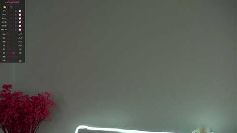 Media: A video of a minimalist room with a grey wall, a small pink floral arrangement, and a digital thermometer displaying the temperature. The room has a neutral, contemporary aesthetic.