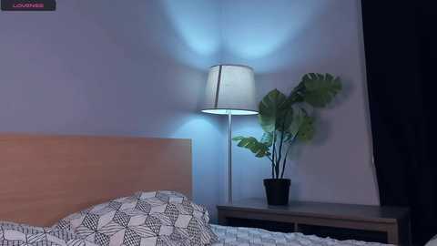 Media: Video of a modern bedroom with a light wooden headboard, a white geometric-patterned bedspread, a green potted plant, a tall lamp with a white shade, and a dark curtain on the right wall.