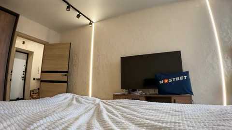 Media: Video of a minimalist bedroom with a bed, a wooden TV stand, a flat-screen TV, and a blue pillow with \"Hostel\" text. The walls are plain white, and the room is well-lit.