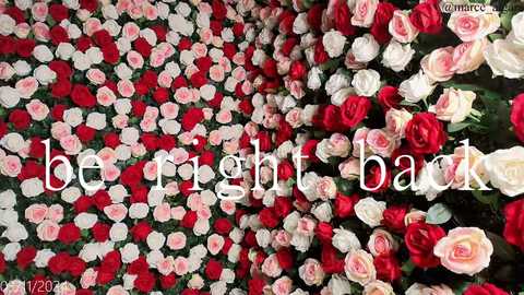 Media: Video of a lush garden filled with vibrant red and white roses. The flowers are densely packed, creating a rich, colorful backdrop. The text \"be my guest\" is overlaid in white, centering the image.