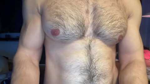 Media: Video of a topless male with a hairy chest, defined abs, and visible nipples. Background is dimly lit, featuring indistinct objects. The focus is on his torso, emphasizing natural body hair and muscular definition.