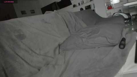 Media: A video of a gray, wrinkled sofa covered in a loose, gray blanket. The background includes a white counter with a red object and various small items, suggesting a cluttered, lived-in room.