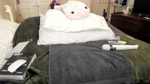 Media: Video of a neatly made bed with a pink stuffed animal, a grey blanket, and a white pillow; a vibrator, remote, and a book on the bed.