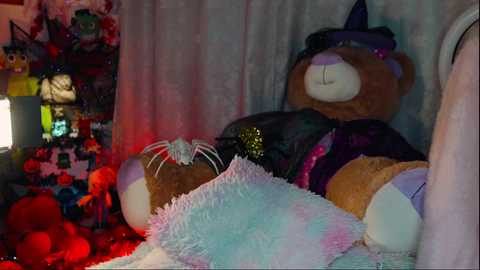 Media: A video shows a plush cat and dog, both dressed in witch costumes, positioned against a white, draped background. The setting is dimly lit, with Halloween decorations visible in the background.