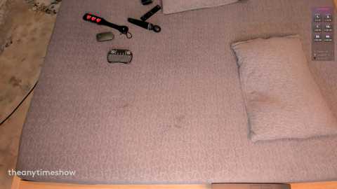 Media: Video of a beige carpeted bed with a light brown pillow, a remote control, a black-and-red flashlight, and a small green box on the floor.