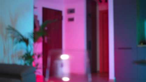 Media: A blurry video of a modern, dimly lit hallway with pink and purple lighting, featuring a green plant, a gray couch, and two closed doors.