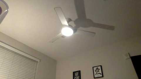 Media: A video of a dimly lit room featuring a ceiling fan with a light bulb, beige walls, and two framed portraits.