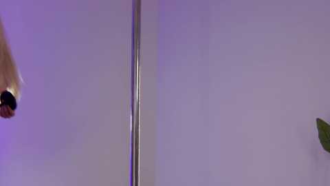 Media: A video featuring a tall, silver pole in a dimly lit room with a white wall and purple light. A shadowy figure in the background appears to be dancing.