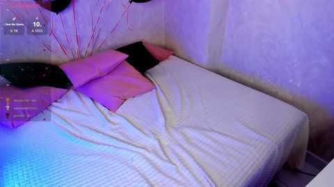 Media: Video of a neatly made bed with white sheets, pink and black pillows, and decorative sticks in a dimly lit room with purple lighting.