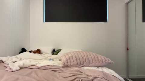 Media: Video of a minimalist bedroom with a messy bed, featuring a white duvet, light pink blanket, and a plush pillow, against white walls with a black window shade and a door.