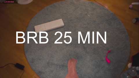 Media: A video of a gray circular rug with a remote control and a penis-shaped toy on it, labeled \"BB 25 MIN\" in white text.