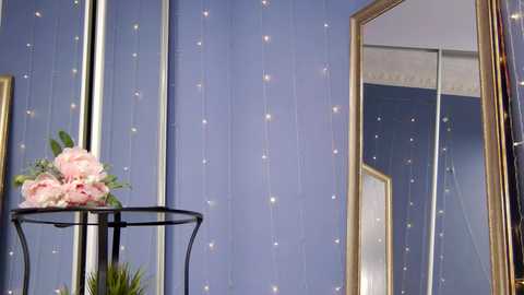 Media: Video of a chic interior featuring a blue wall adorned with twinkling fairy lights, a black metal plant stand with a pink flower arrangement, and a large framed mirror reflecting part of the room.