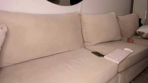 Media: A video of a beige L-shaped sofa with soft cushions, featuring a remote control, a white keyboard, and a small, light-colored stuffed animal on the right armrest. The background is plain and neutral-colored.