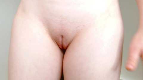 Media: A video showing a close-up view of a nude person's vulva with pale skin, trimmed pubic hair, and a slight curve to the thighs, set against a plain, light-colored background.