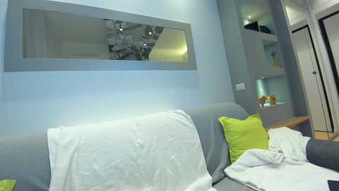 Media: Video of a modern living room with light blue walls, a gray sofa, white pillows, green throw, and a mirror reflecting a black-and-white flower painting.