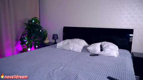 Media: A video of a minimalist bedroom with a black headboard, white pillows, gray blanket, and a potted plant with purple lighting.