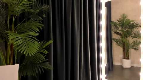 Media: Video of a modern indoor setting featuring dark green curtains with a white mirror adorned with bright, round bulbs, and two large potted ferns on either side.