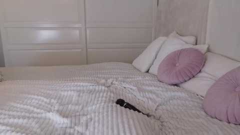 Media: Video of a minimalist bedroom with a white quilted bedspread, a pink pillow, and a black remote control on the bed. The background features a white wall and a closed window with white blinds.