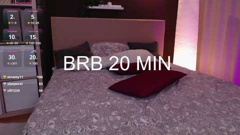 Media: Video of a modern bedroom with a large bed covered in patterned gray bedding. The headboard is upholstered in beige fabric. A red pillow rests on the bed, and a digital display on the left shows \"BB 20 MIN.\