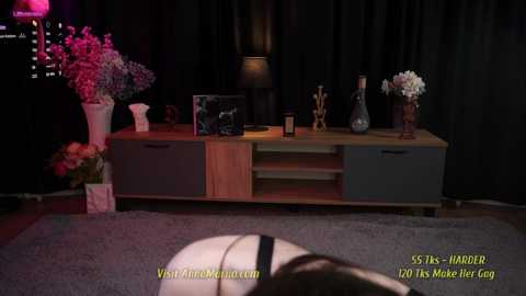 Media: A video shows a dimly lit room with a black curtain backdrop, a wooden TV stand, a lamp, vases, and a framed photo. The foreground features a white hat.