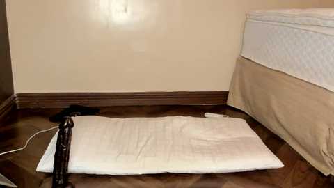 Media: Video of a beige carpeted room with a white mattress and black pillow on the floor, wooden baseboard, and a dark wooden chair with a white pillow in the corner.