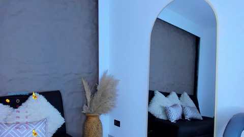 Media: Video of a minimalist room with a large mirror reflecting a dark sofa and fluffy pillows. A tall vase with dried pampas grass sits on the left, against a textured grey wall.