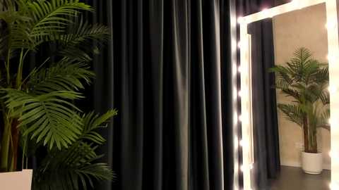 Media: Video of a stylish indoor space featuring a dark green curtain with a prominent mirror framed by bright lights, and large potted ferns on either side, adding a touch of natural greenery.