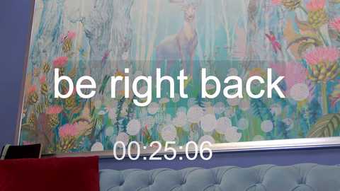 Media: Video of a modern, vibrant painting featuring a deer amidst lush flowers on a light blue wall. Text overlays read \"be right back\" and \"00.25.06.\" A plush, light blue tufted headboard is visible at the bottom.