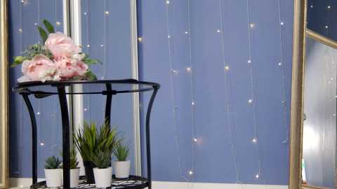 Media: Video of a black metal table with white potted plants and a bouquet of pink peonies against a blue wall with string lights.