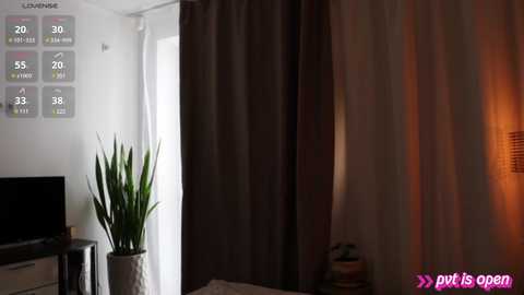 Media: Video of a modern bedroom with a dark brown curtain partially drawn, revealing a white lampshade. A potted plant with long green leaves stands beside a flat-screen TV. A digital thermometer display shows 20\u00b0C.