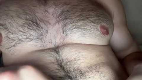 Media: A close-up video of a bare male torso, showing a hairy chest with visible nipples and a slightly protruding belly. The skin is pale and the background is indistinct.