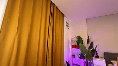 Media: Video of a modern, minimalist room with mustard-yellow curtains, a tall green plant, a white shelf with red and purple decor, and a gray couch.