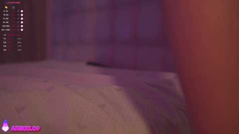 Media: A dimly lit, blurred video of a bed with a fuzzy, indistinct figure lying on it. The room has a soft pink and purple color scheme.