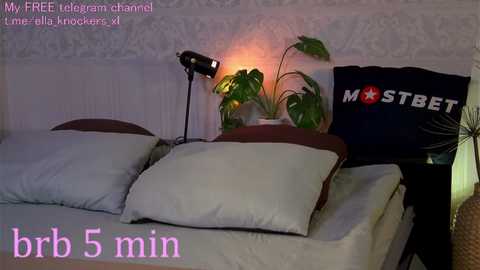 Media: Video of a cozy bedroom with a bed, white pillows, a green plant, and a \"MOSTBET\" pillow on a dark pillowcase, lit by a lamp, with text overlay \"b5 min.\