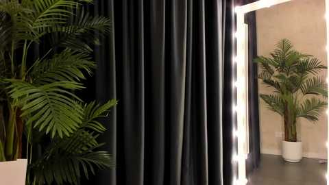 Media: Video of a modern room with dark green curtains, lush green potted plants, and bright white mirror-lined wall, creating a dramatic and elegant atmosphere.