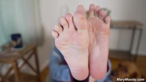 Media: A video of a person's feet, bare and slightly dirty, raised and facing the camera, set in a dimly lit room with wooden furniture and a blurry background.