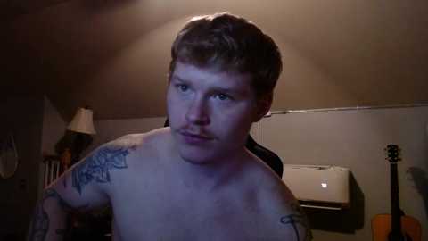 Media: Video of a shirtless, pale-skinned man with short, curly red hair and multiple tattoos, including a large flower on his left shoulder. He has a neutral expression. The background shows a dimly lit room with a white lampshade, an acoustic guitar, and a white air conditioner.