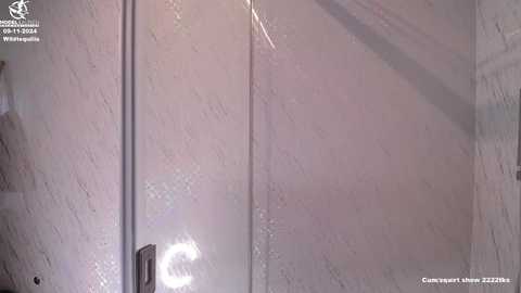 Media: Video of a closed glass shower door, with a circular white light on the left, and a watermark on the top left reading \"Winnipeg Free Press.\