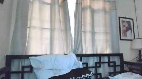 Media: A video of a dimly lit bedroom featuring a bed with white pillows, a black headboard, and sheer curtains. A framed painting hangs on the wall to the right.