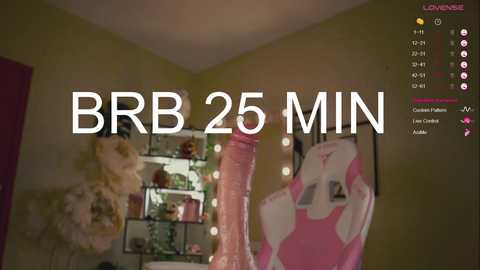 Media: Video of a pink, realistic dildo standing in a cluttered bedroom with a pink stuffed animal and a framed image of a cartoon character on the wall. Text reads \"BB 25 MIN.\