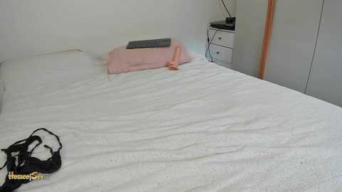 Media: A video of a minimalist, unmade bed with a pink pillow, black underwear, and a black phone on white sheets in a sparsely furnished room with a white nightstand and sliding door.