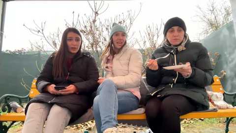 Media: Video of three women, one in a black coat, one in a beige puffer jacket, and one in a black puffer jacket, sitting on a yellow bench in a winter park, holding smartphones.