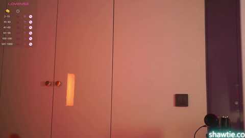 Media: Video of a modern, beige-toned wardrobe with a gold doorknob, illuminated by warm lighting. The background features a dark purple wall and a black electrical outlet. A webcam is partially visible on the right.