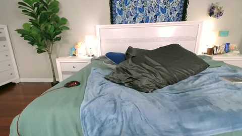 Media: Video of a tidy, modern bedroom with a blue and green bedspread, green pillows, and a white headboard. A tall plant, white dresser, and abstract art are visible.