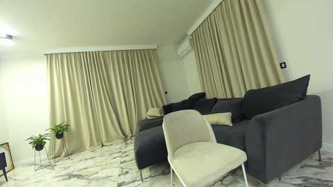 Media: Video of a modern living room with beige curtains, a grey sectional sofa, beige chair, and patterned carpet.