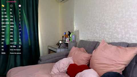 Media: A video of a modern, minimalist bedroom with a grey couch, pink pillows, and a wall-mounted air conditioner. The background features a cluttered nightstand with various items. The image includes a live streaming overlay.