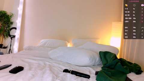 Media: A video of a minimalist bedroom with a white bed, green clothes, and a black remote on the floor; a potted plant and a lamp stand in the background.