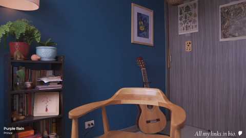 Media: Video of a cozy, blue-walled room with a wooden chair, guitar, potted plants, framed artwork, and bookshelves.